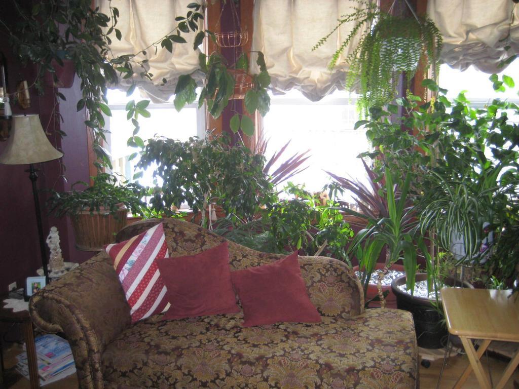 Phoenix House B&B Stettler Exterior foto